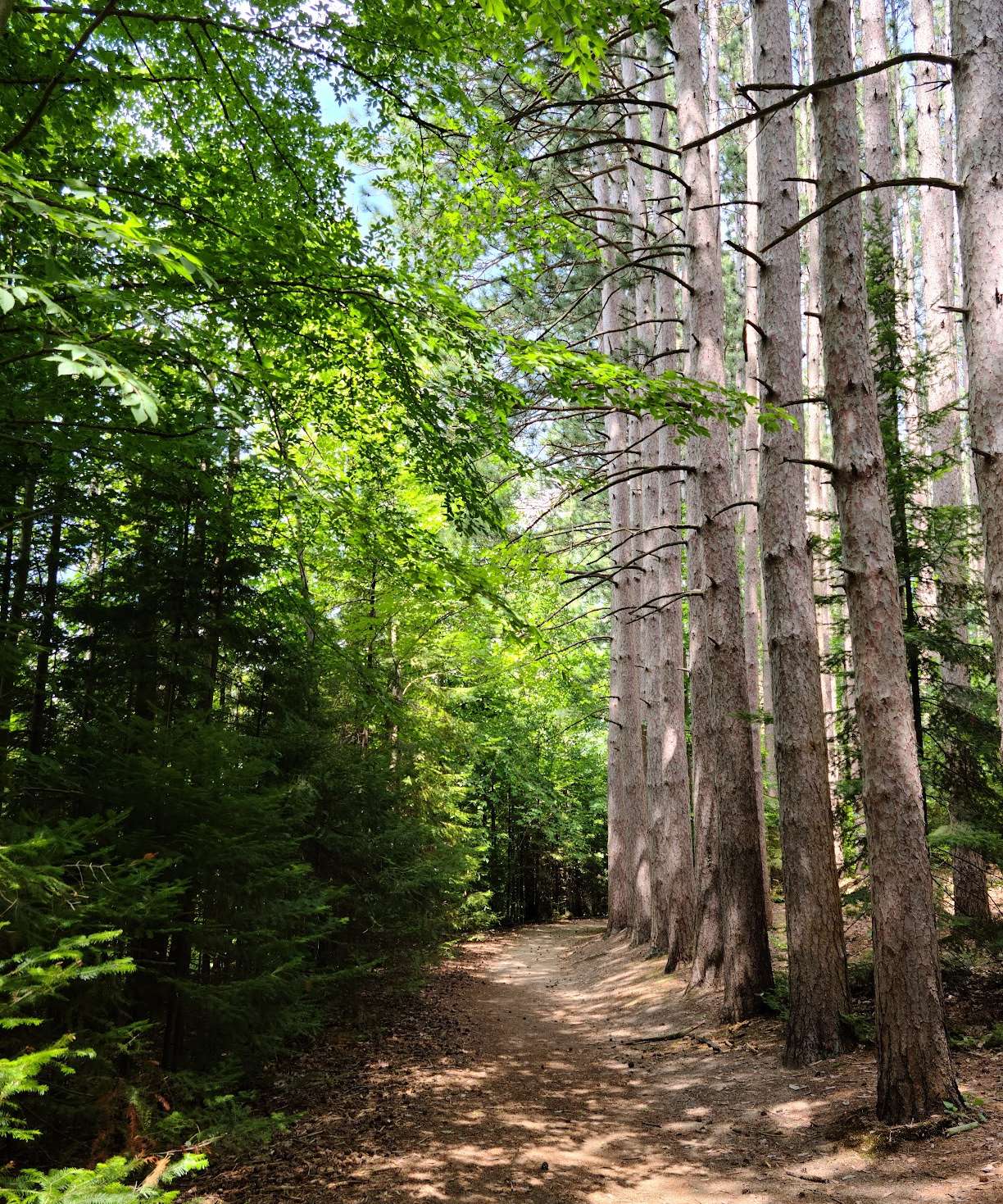 Proud Lake State Recreation Area